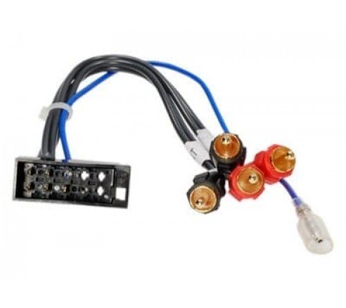 Passieve LOW LEVEL converter kabel 10-pin vrouwelijk > RCA