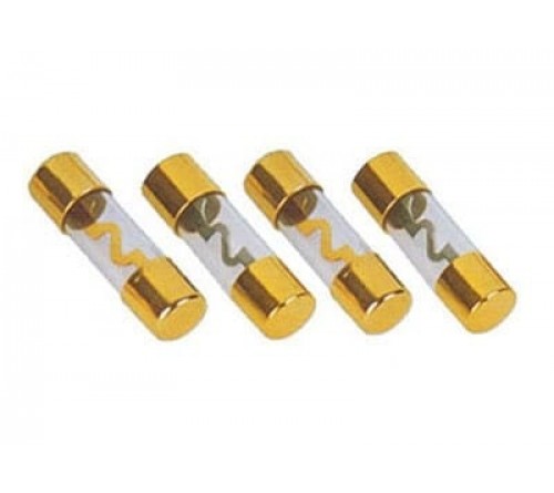 AGU Glaszekering  verguld   60A  4x