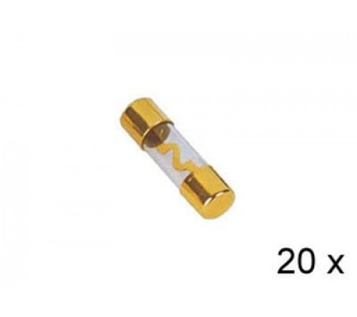 AGU Glaszekering  verguld   20A  20x