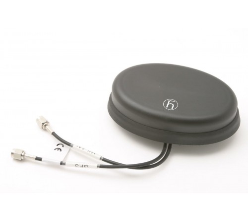 Combi antenne GPS 2400 LP/S/SMA Male
