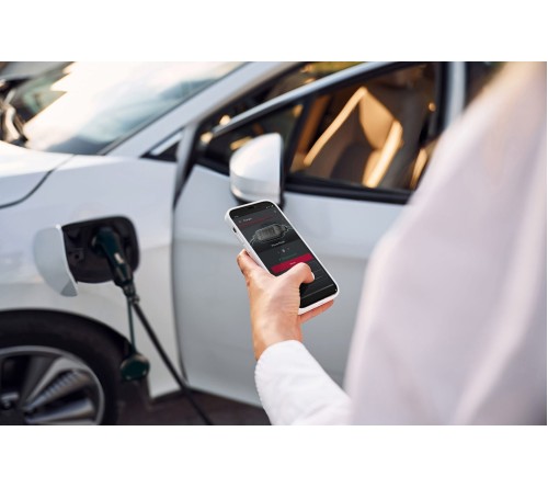 Bury PowerFlash PF9050 SET Premium 3-pack